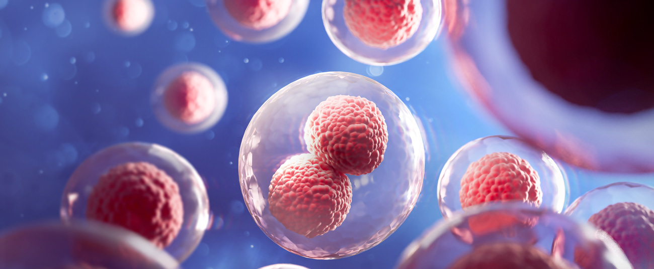 Foto: adobe stock // Anusorn Mikroorganizmy